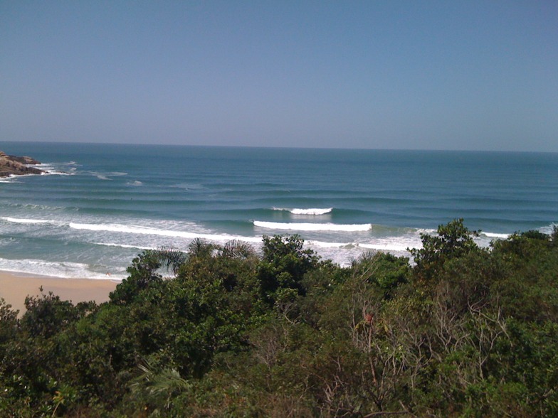 Rosa surf break