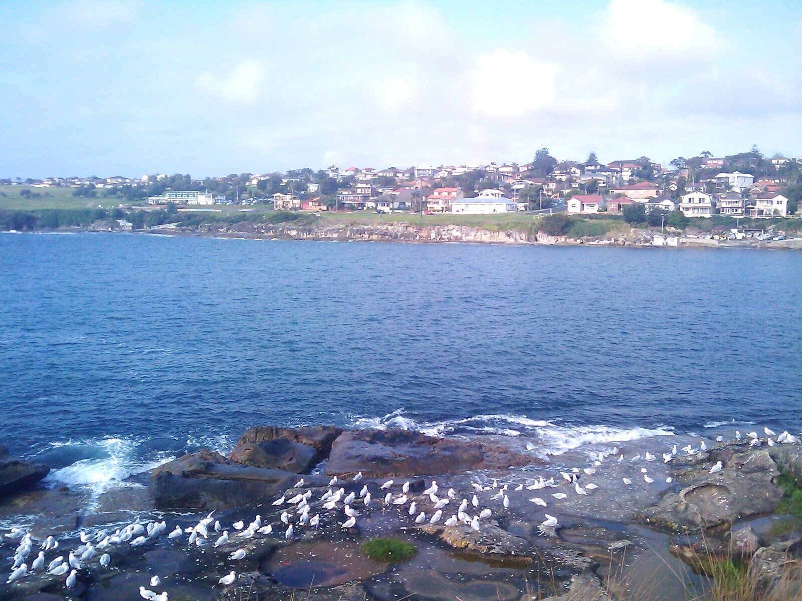 View from boat ramp, Malabar