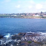 View from boat ramp, Malabar