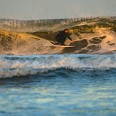 Break of Dawn, New Jetty/South Jetty