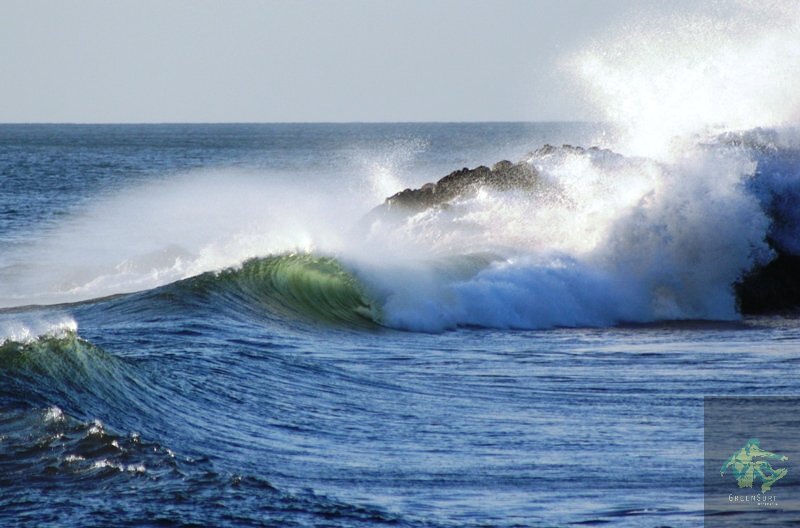 pistols, El Transito