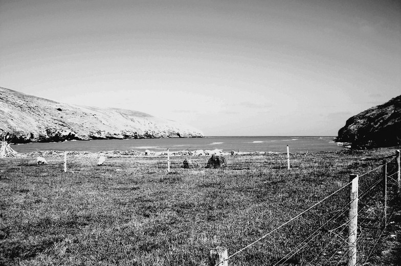 Banks Peninsula - Te Oka Bay surf break