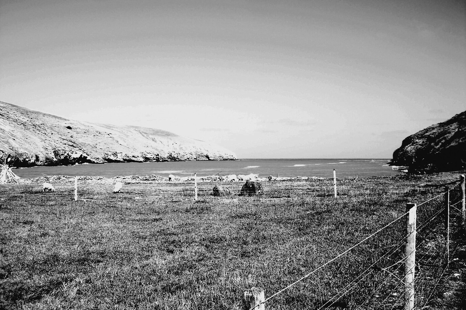 Te Oka, Banks Peninsula - Te Oka Bay