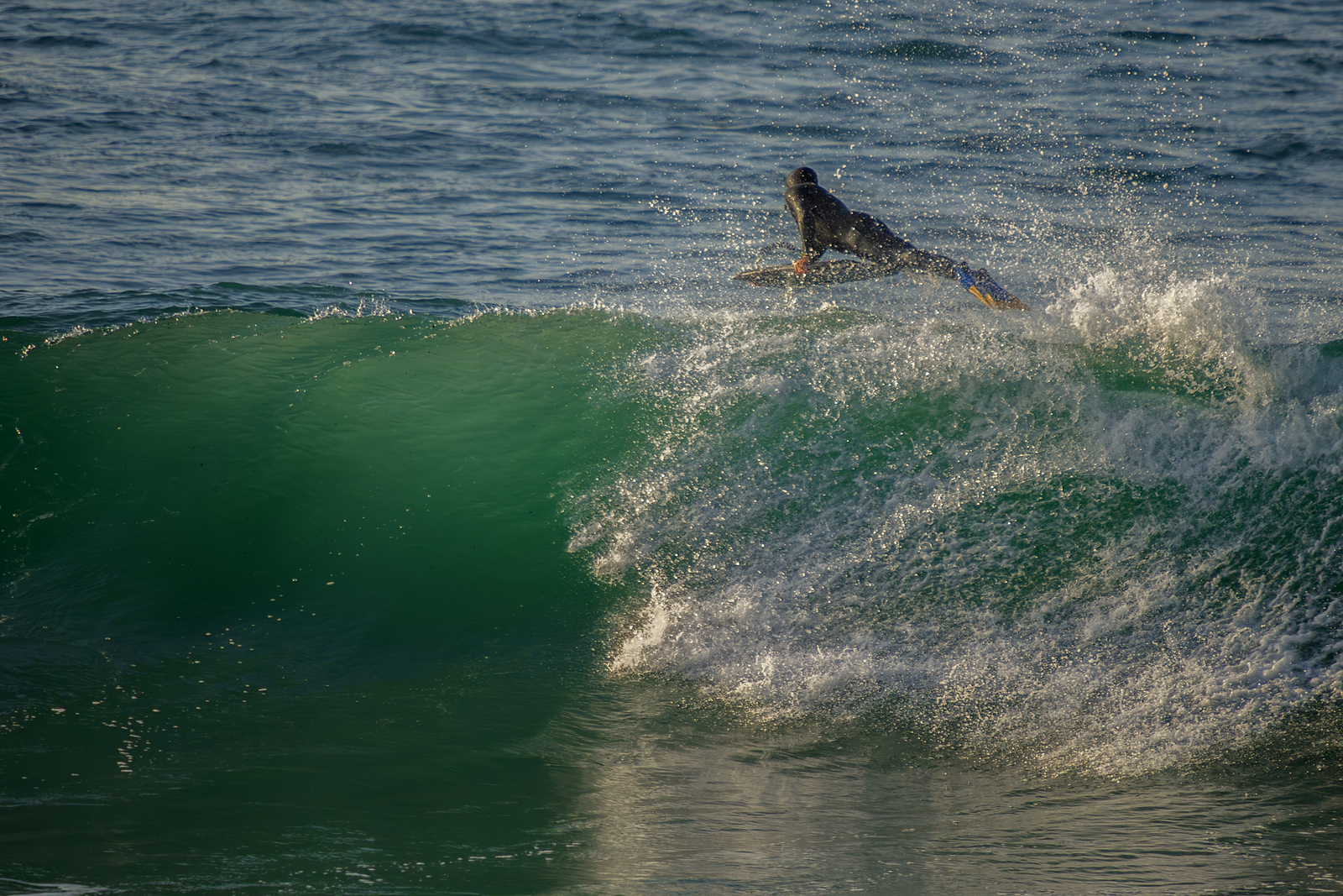 Atardecer Surfeando en Zurriola, Playa de Gros