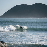 Surfer making the most of a dying wave, Lyall Bay