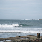 Killing speed on a wee knee biter, Lyall Bay