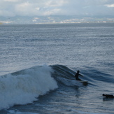 Misc Surfers Feb 2010 3, Fort Point