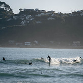 Making the most of the mellow, Lyall Bay