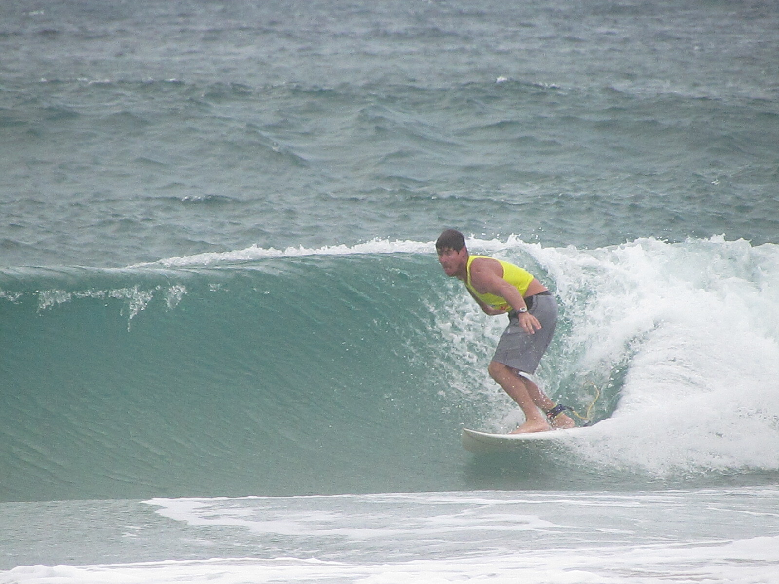 Gooney at Fingal, Fingal Bay