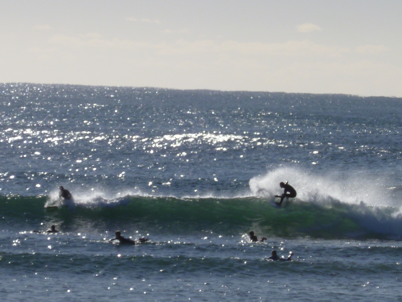 early morning of little nobby, Crescent Head
