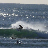 early morning of little nobby, Crescent Head