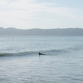 Bobbing about, Eastbourne