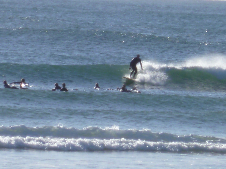 winter session of little nobby, Crescent Head