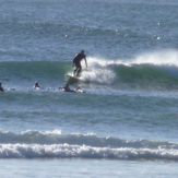 winter session of little nobby, Crescent Head