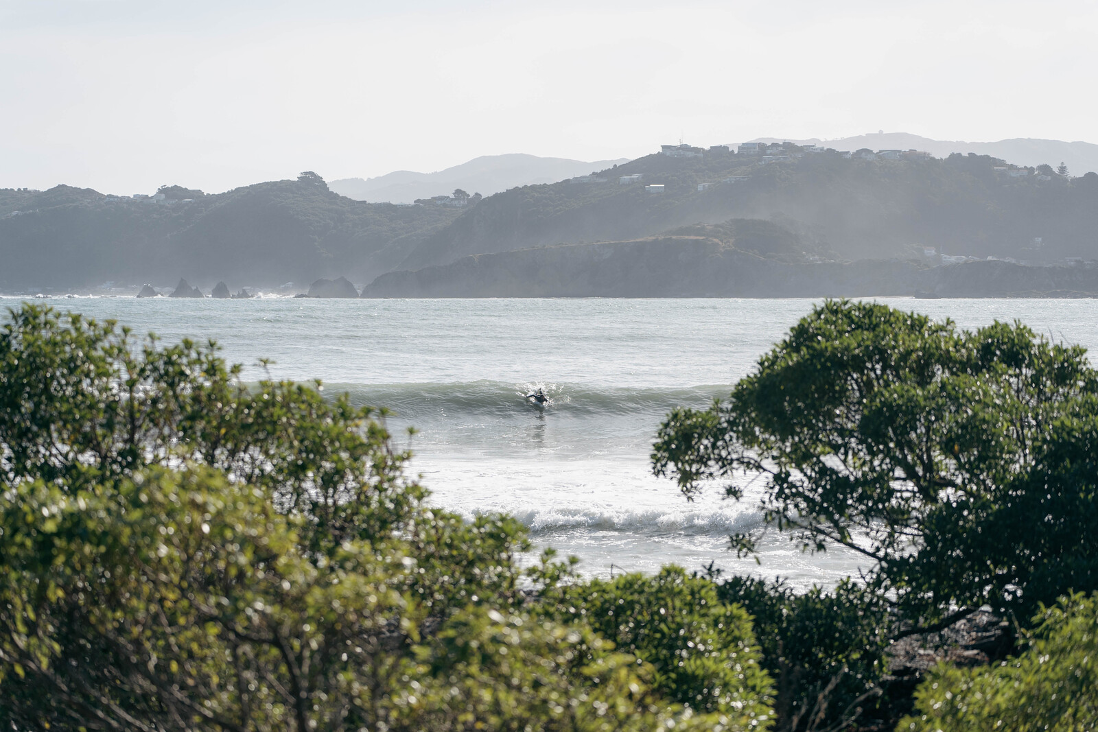 Working hard for it, Eastbourne