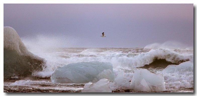 Arctic Sea waves in Iceland