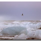 Arctic Sea waves in Iceland