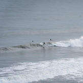 Getting the turn in, Pease Bay