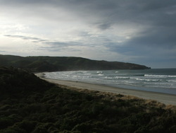 Looking to the SE, Otago Peninsula - Allans Beach photo