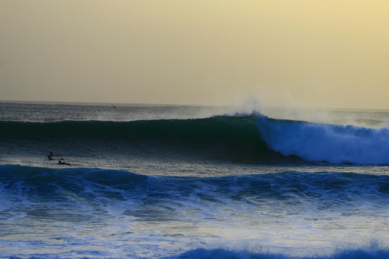Surf Berbere Taghazout Morocco, Anchor Point