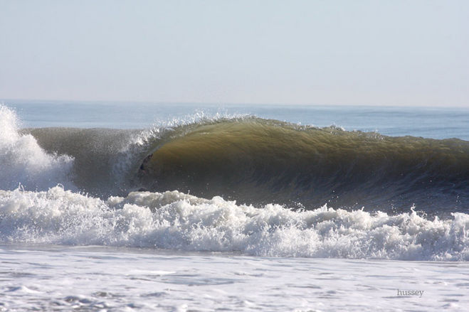 Folly beach