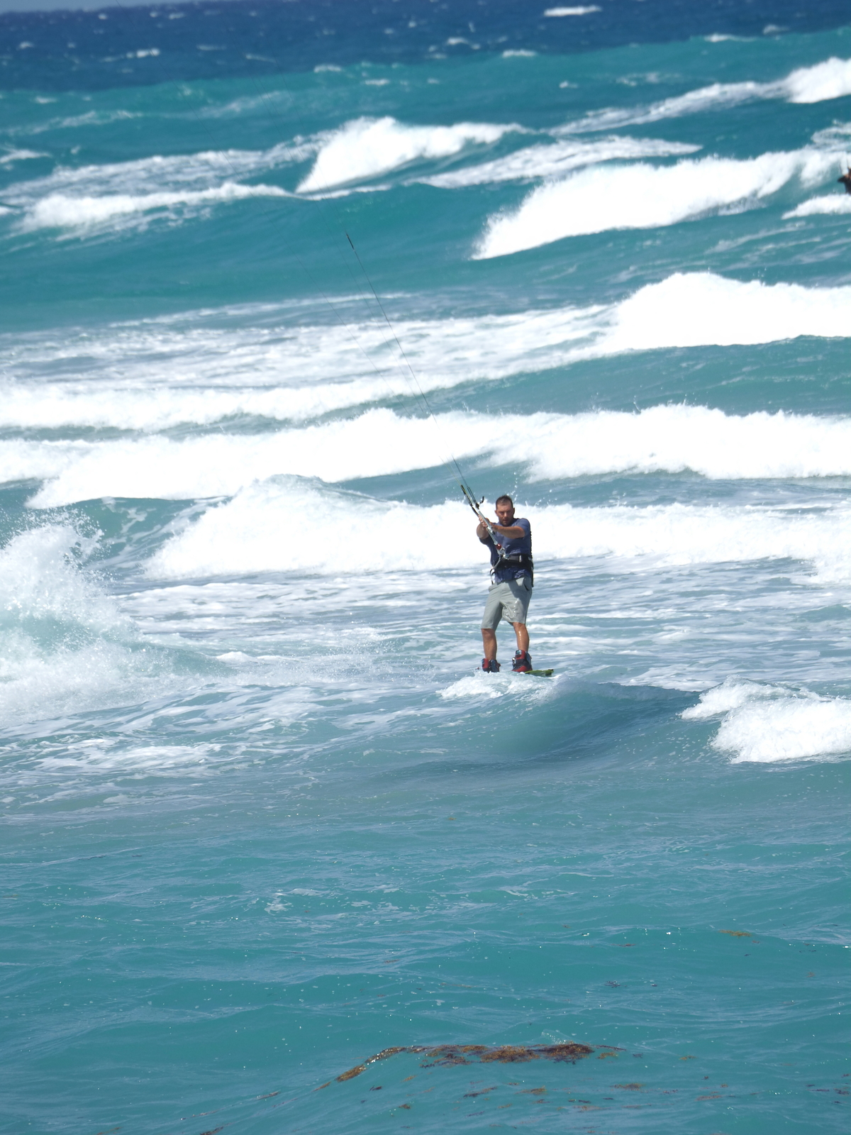 Photo post from observer, Juno Pier