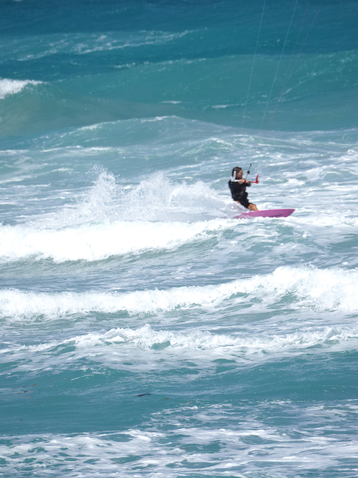 Photo post from observer, Juno Pier