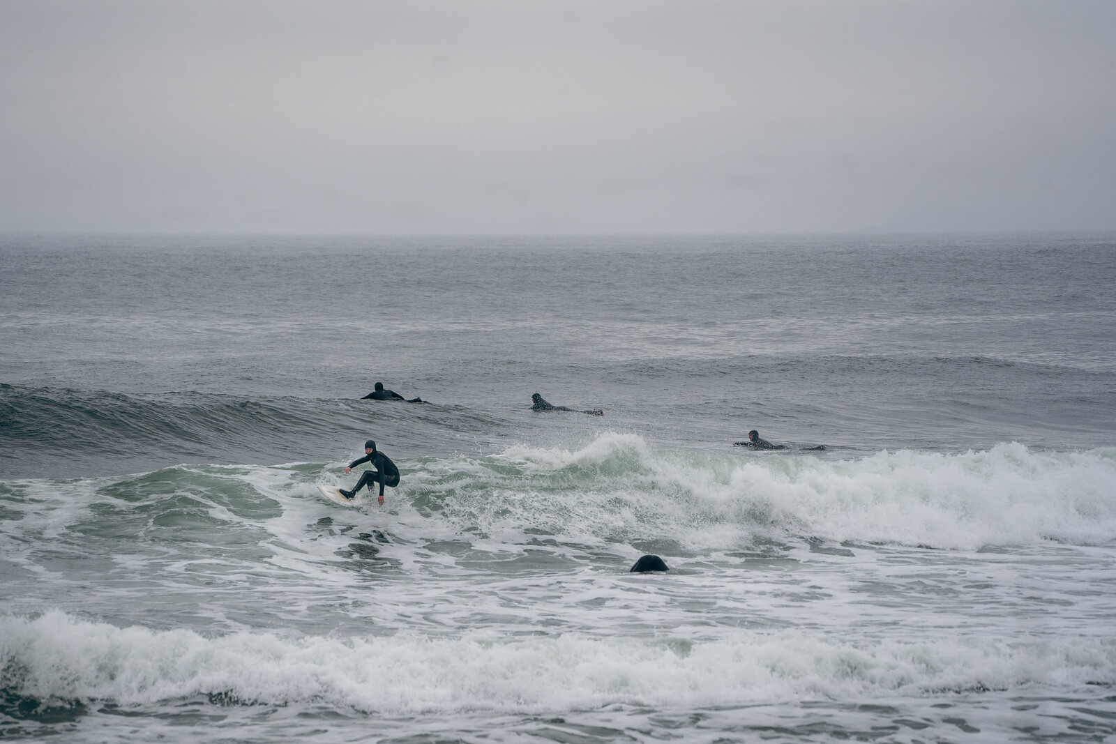 Finn flowing his way to the beach, Pease Bay