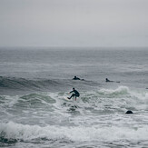 Finn flowing his way to the beach, Pease Bay