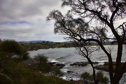 Boneyard Bombo NSW photo