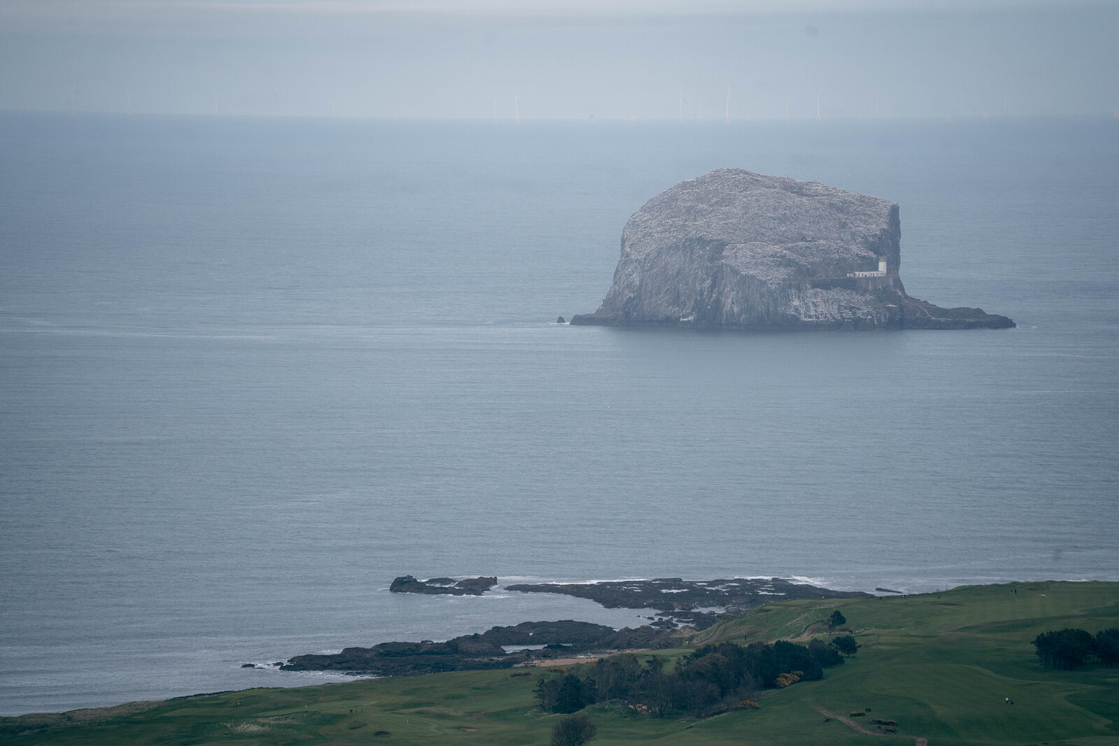 Quiet reefs, North Berwick