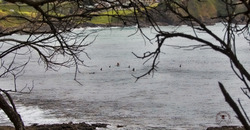 Boneyard Bombo NSW photo