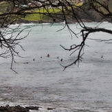 Boneyard Bombo NSW