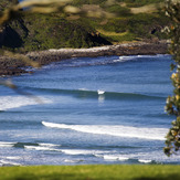 The Farm NSW