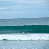 Photo by Noah Simpson, Singleton