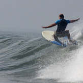 Calla flying, Alkantstrand