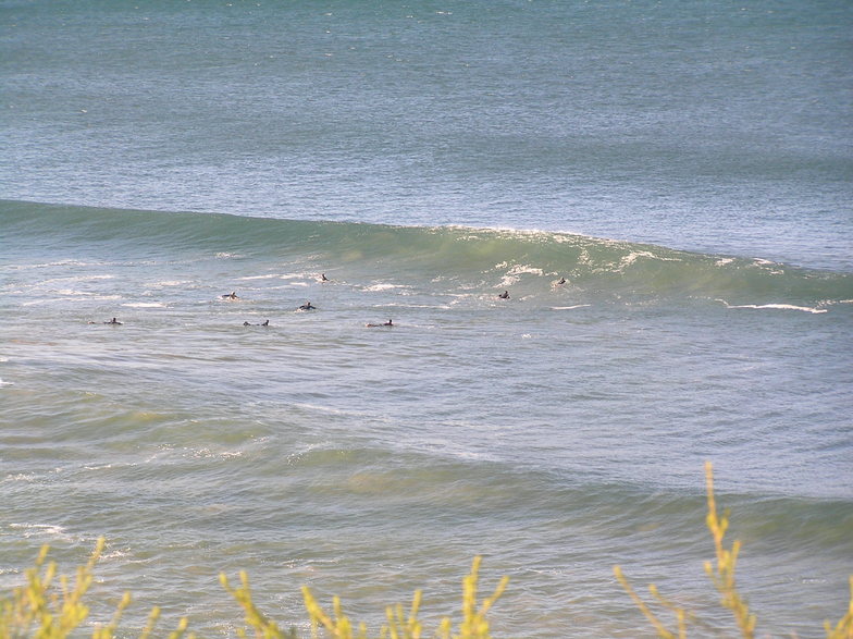 Bird Rock surf break