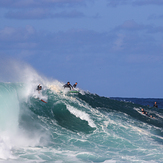 Bondi Boomers!, Bondi Beach