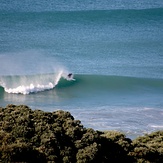 Pines from Okitu, Wainui Beach - Pines