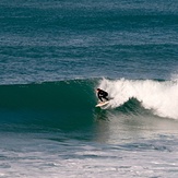 Right, Wainui Beach - Pines