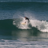 Right, Wainui Beach - Pines