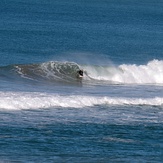 Right, Wainui Beach - Pines