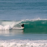 Lovely morning, Wainui Beach - Whales