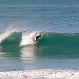 Lovely morning, Wainui Beach - Whales