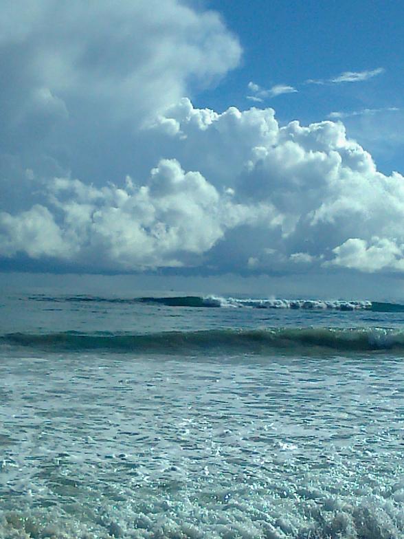 Arto mate, Artificial reef