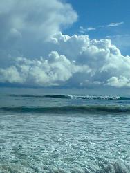 Arto mate, Artificial reef photo