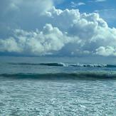 Arto mate, Artificial reef