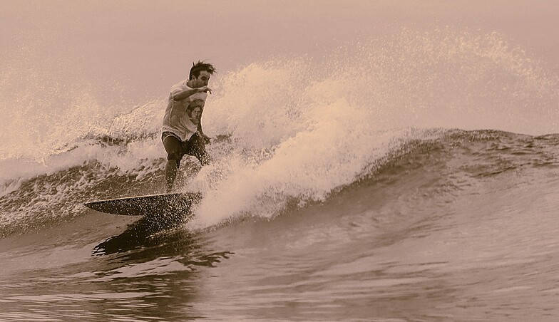 Chickens surf break