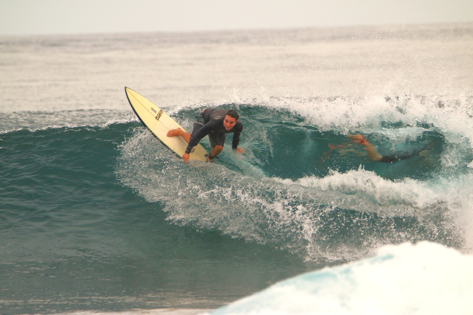 Mid size Cokes, Colas (Cokes)