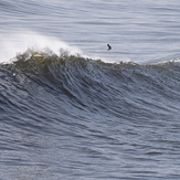 Perfect winter surf at Cobden Breakwater